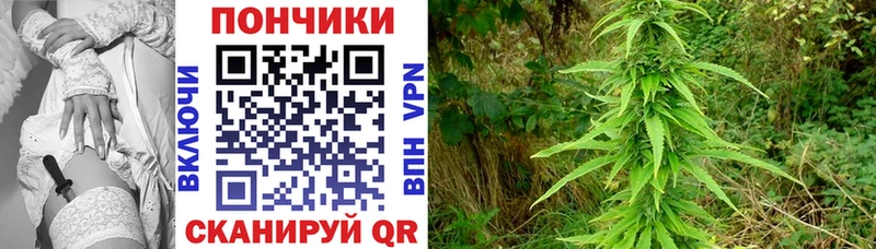 мега маркетплейс  как найти наркотики  Казань  это наркотические препараты  Канабис LSD WEED 